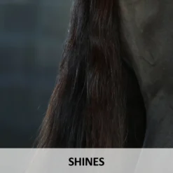 Ultra® Lazer Shine -Sstack Sales Store 02211c feature c overlay