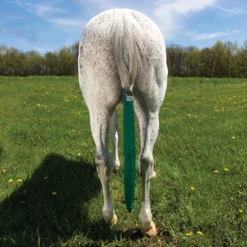 Dura-Tech® Breathable And Waterproof Tail Bag -Sstack Sales Store 12376 darkgreen