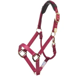 Dura-Tech® Magnetic Crown Piece -Sstack Sales Store 23328 alt e