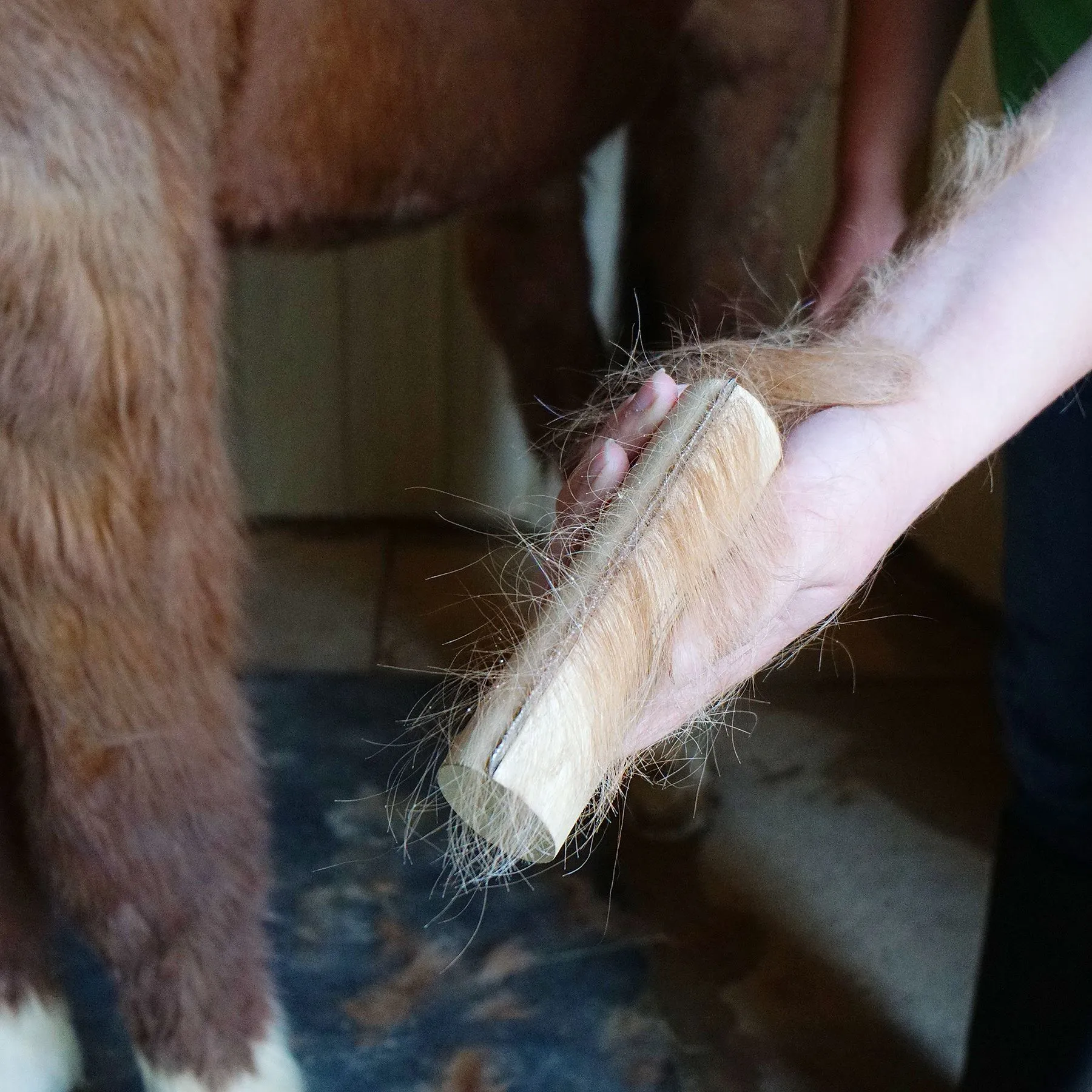 SleekEZ Shedding Block 4 SleekEZ Shedding Block - Image 4