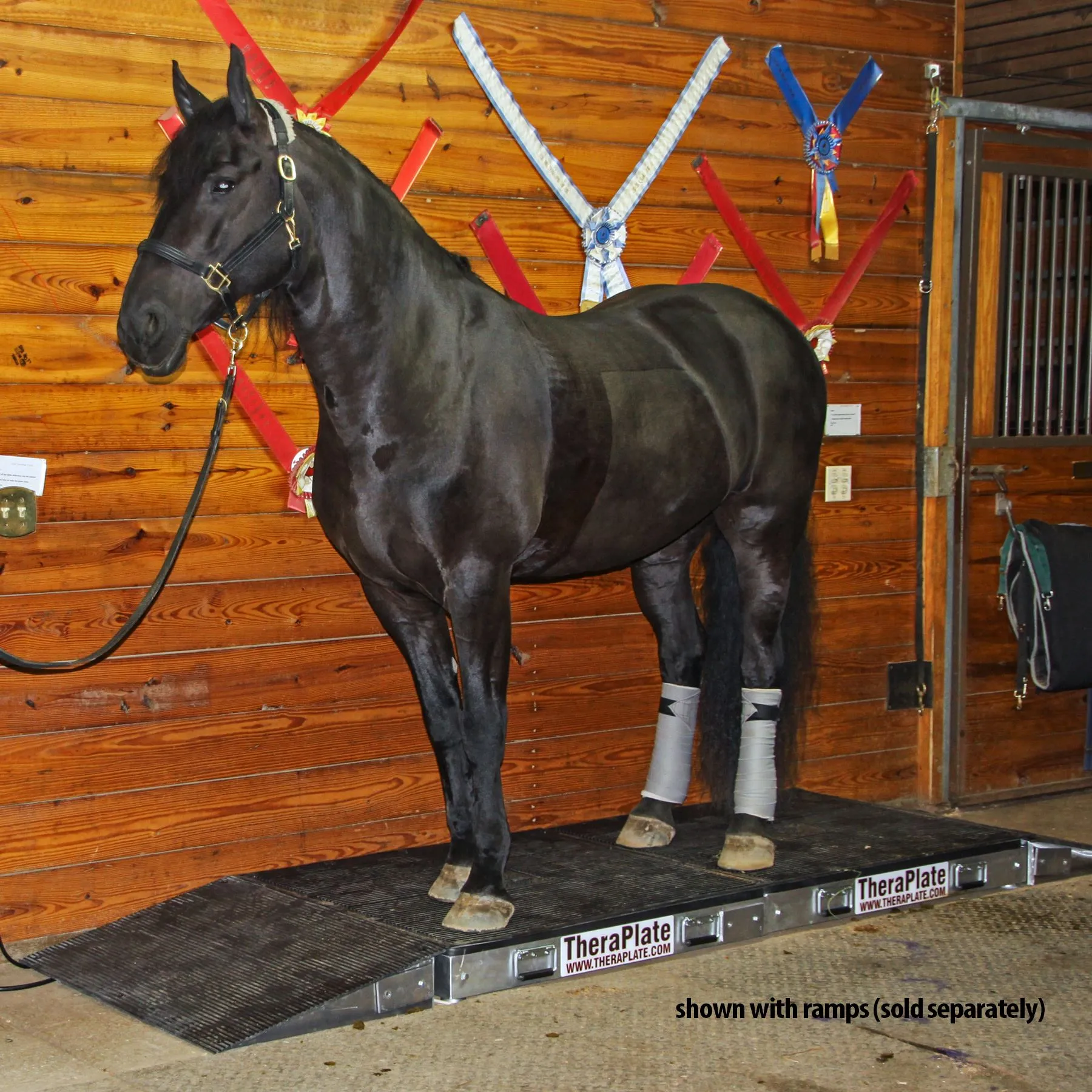 TheraPlate - Equine 2 TheraPlate - Equine - Image 2