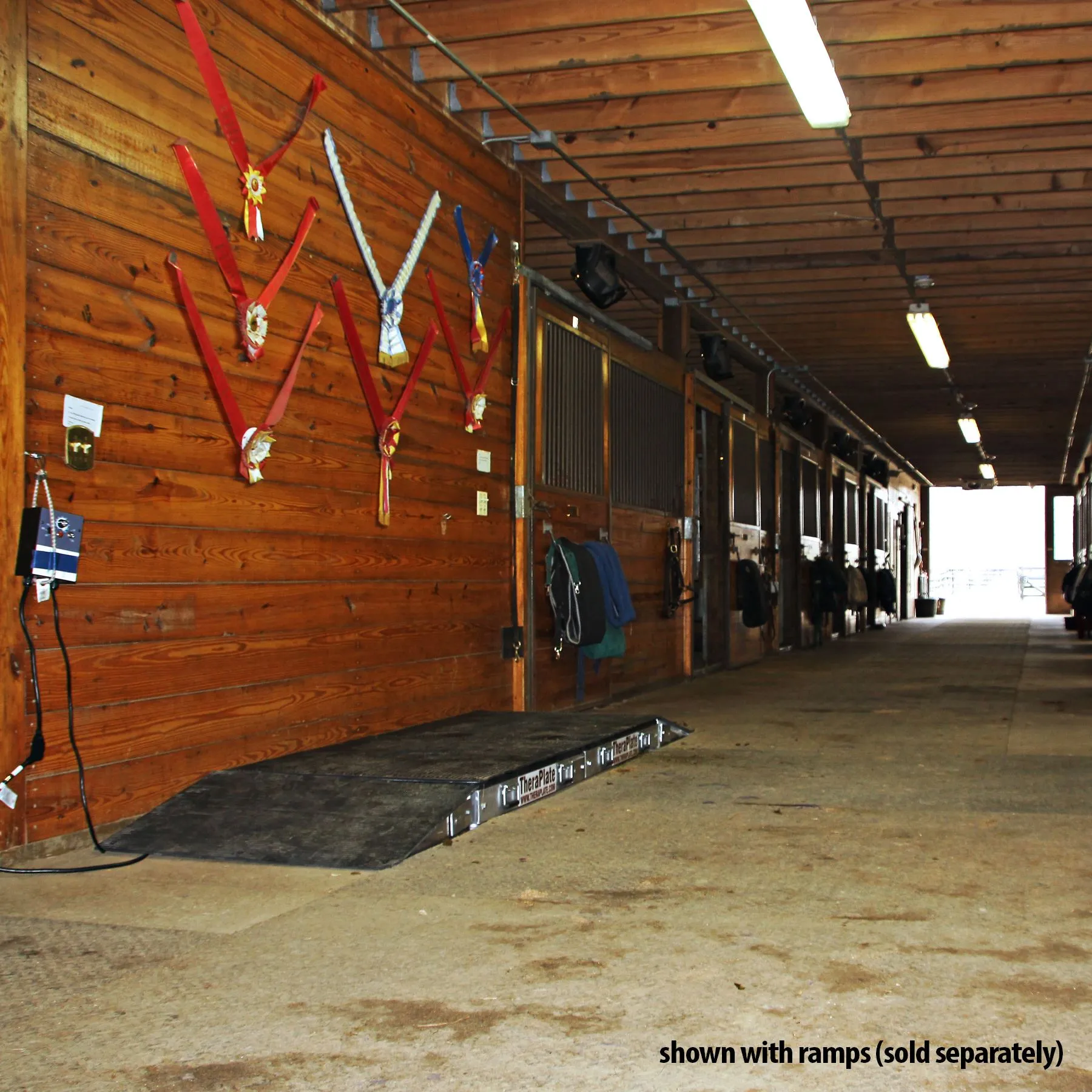 TheraPlate - Equine 3 TheraPlate - Equine - Image 3