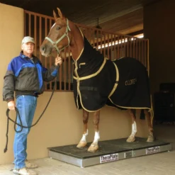 TheraPlate - Equine 8 TheraPlate - Equine -Sstack Sales Store 24629 alt c