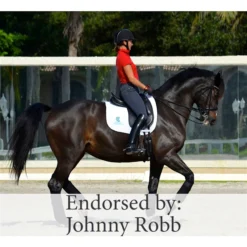 Wearable LASERwrap™ - Leg Wraps -Sstack Sales Store 24862c prof c overlay