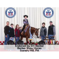 Lux Ceramic Therapy® Western Felt Saddle Pad -Sstack Sales Store 25215 prof b overlay