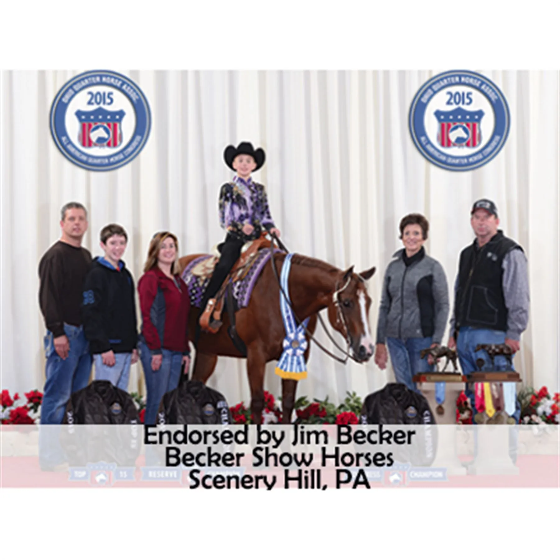 Lux Ceramic Therapy® Western Saddle Pad Liner 3 Lux Ceramic Therapy® Western Saddle Pad Liner - Image 3