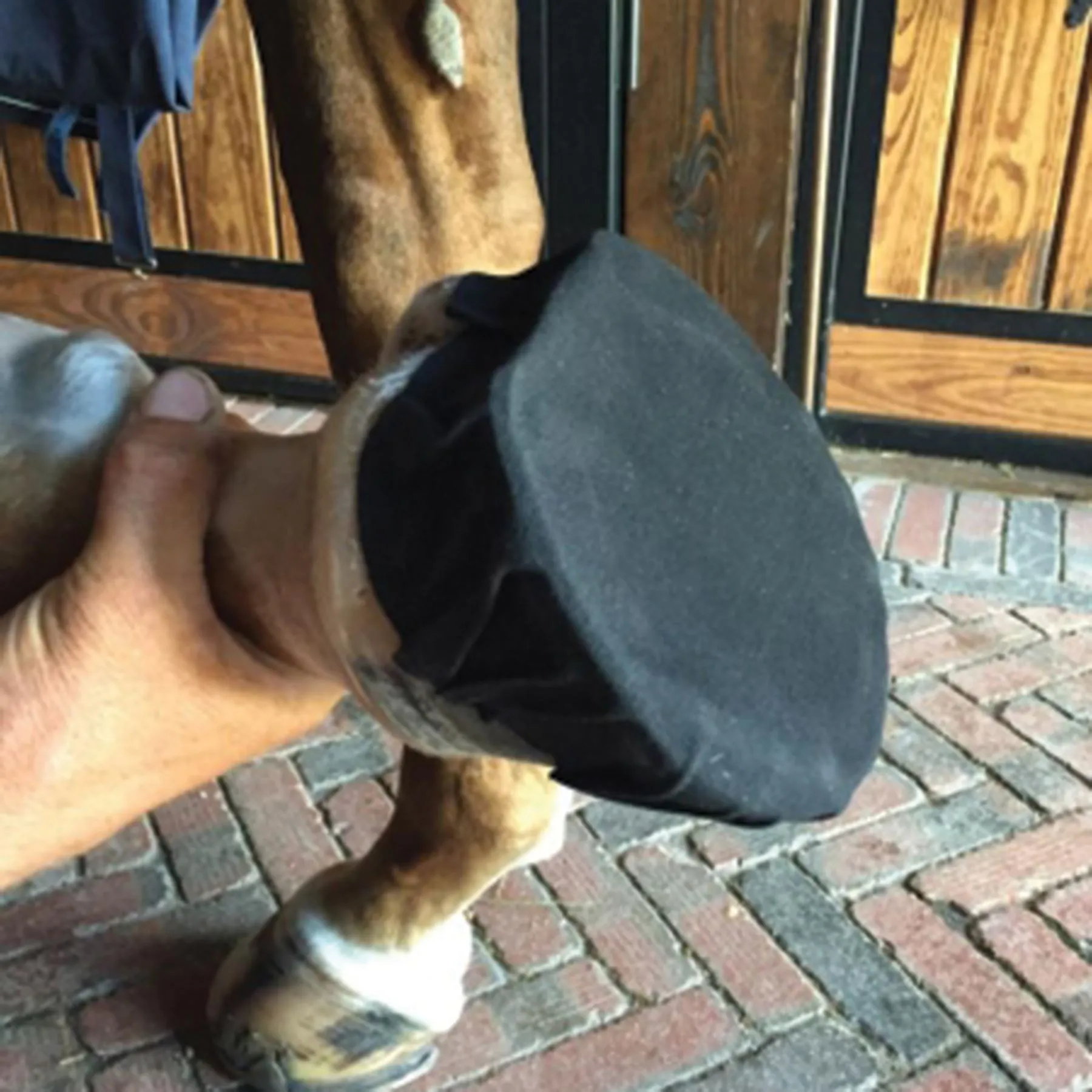 EquiFit Pack-N-Stick Hoof Tape 2 EquiFit Pack-N-Stick Hoof Tape - Image 2