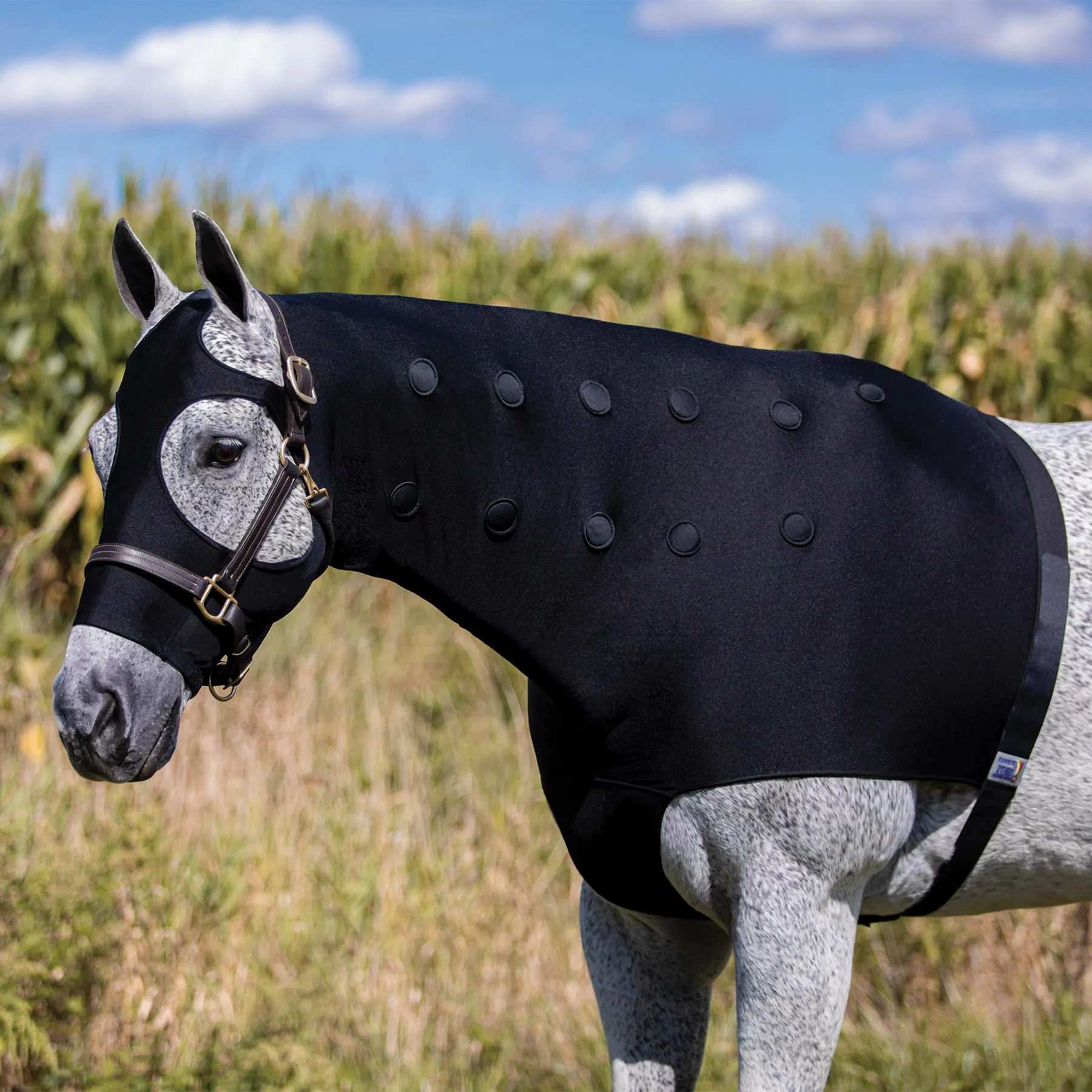 Dura-Tech® Magnetic Slicker Hood 1 Dura-Tech® Magnetic Slicker Hood