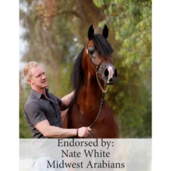 Wearable LASERwrap™ - Neck Wrap 10 Wearable LASERwrap™ - Neck Wrap -Sstack Sales Store 37446 prof a overlay