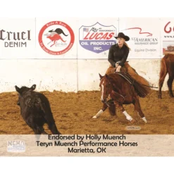 Lux Ceramic Therapy Quick-Wrap Horse Wraps For Horses -Sstack Sales Store 37783 prof a overlay