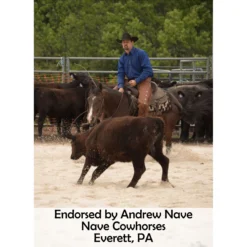 Equine Copper Full Body Bellyband Slicker -Sstack Sales Store 38892 prof b overlay