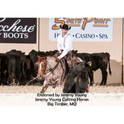 Equine Copper Full Body Bellyband Slicker -Sstack Sales Store 38892 prof c overlay