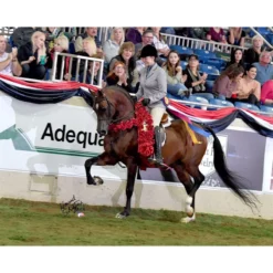 HandsOn® Grooming Gloves -Sstack Sales Store 38917 prof b