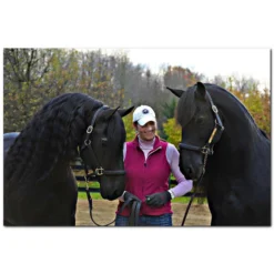 HandsOn® Grooming Gloves -Sstack Sales Store 38917 prof c