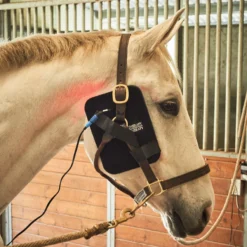 Equine Light Therapy® Small Kit -Sstack Sales Store 40302 alt c