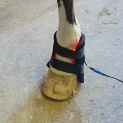 Equine Light Therapy® Small Kit -Sstack Sales Store 40302 alt e
