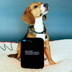Equine Light Therapy® Small Kit -Sstack Sales Store 40302 alt g
