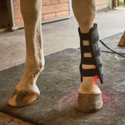 Equine Light Therapy® Medium Kit -Sstack Sales Store 40303 alt b