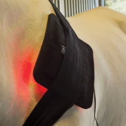 Equine Light Therapy® Medium Kit -Sstack Sales Store 40303 alt c