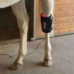 Equine Light Therapy® Medium Kit -Sstack Sales Store 40303 alt d