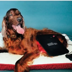 Equine Light Therapy® Medium Kit -Sstack Sales Store 40303 alt e