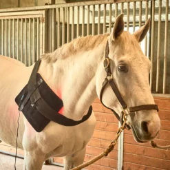 Equine Light Therapy® Large Kit -Sstack Sales Store 40304 alt b