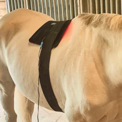 Equine Light Therapy® Large Kit -Sstack Sales Store 40304 alt c