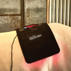Equine Light Therapy® Large Kit -Sstack Sales Store 40304 alt d