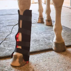 Equine Light Therapy® Large Kit -Sstack Sales Store 40304 alt e