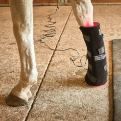 Equine Light Therapy® Large Kit -Sstack Sales Store 40304 alt f
