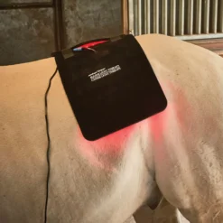 Equine Light Therapy® Large Kit -Sstack Sales Store 40304 alt g