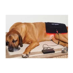 Equine Light Therapy® Large Kit -Sstack Sales Store 40304 alt i