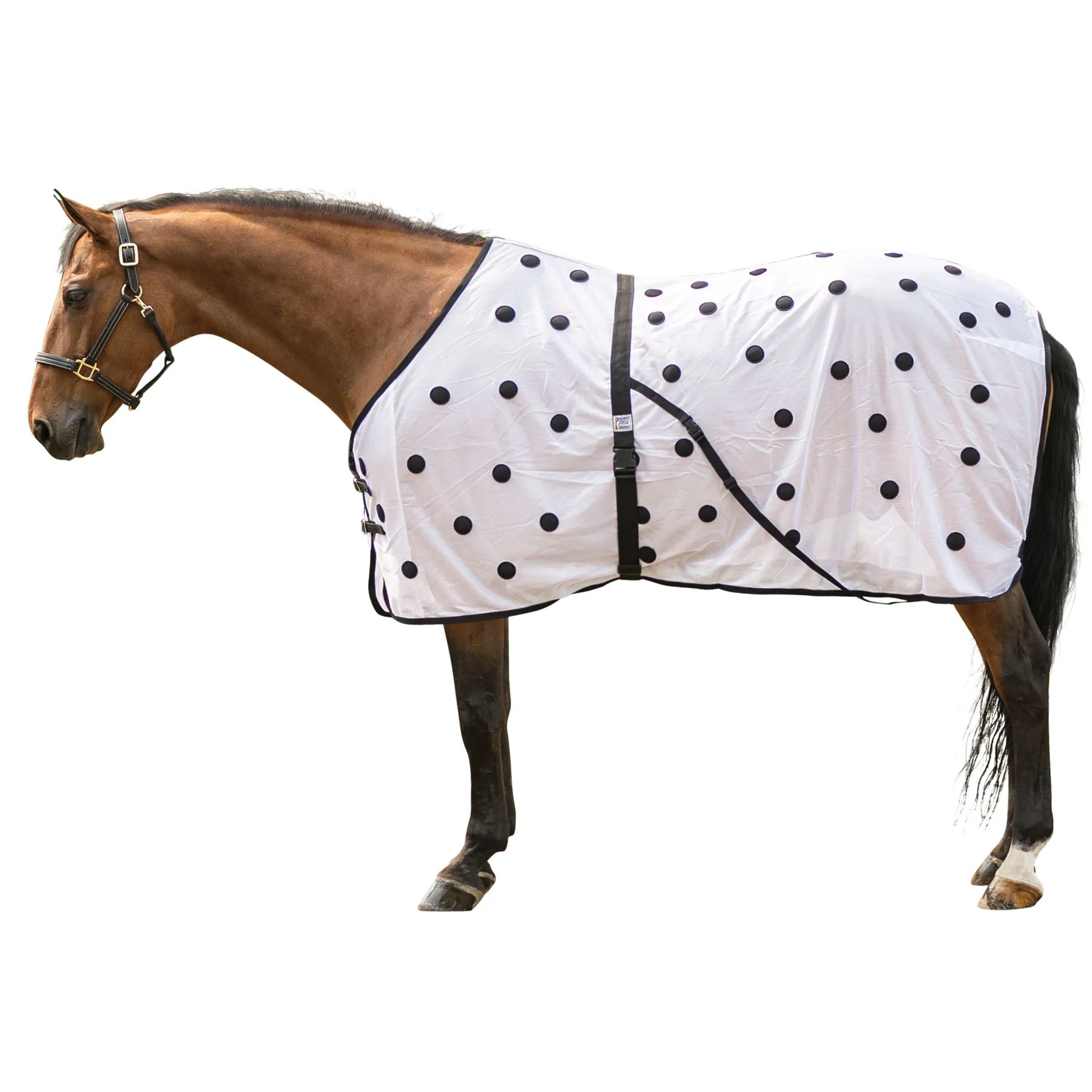 Dura-Tech® Magnetic Sheet 1 Dura-Tech® Magnetic Sheet