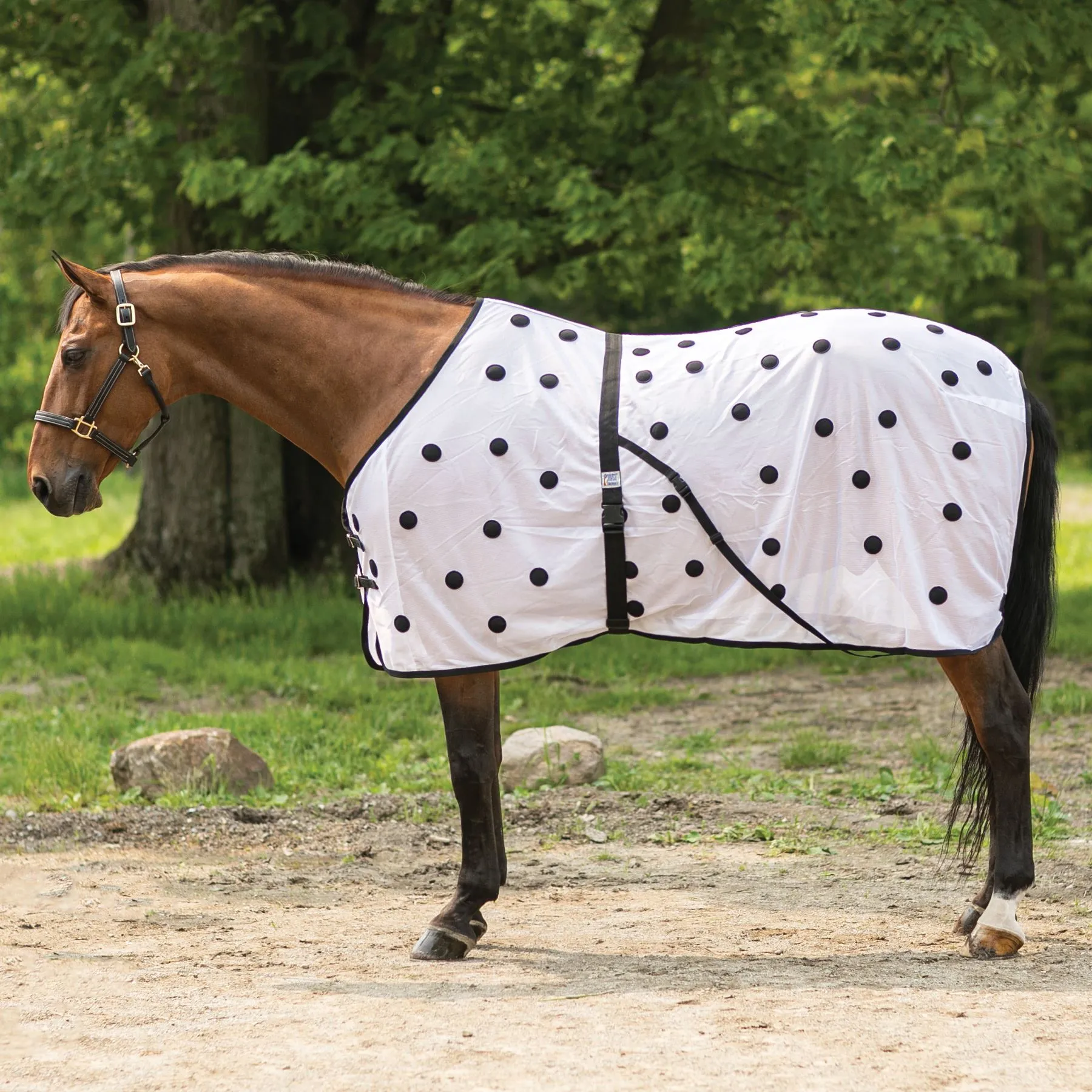 Dura-Tech® Magnetic Sheet 6 Dura-Tech® Magnetic Sheet - Image 6