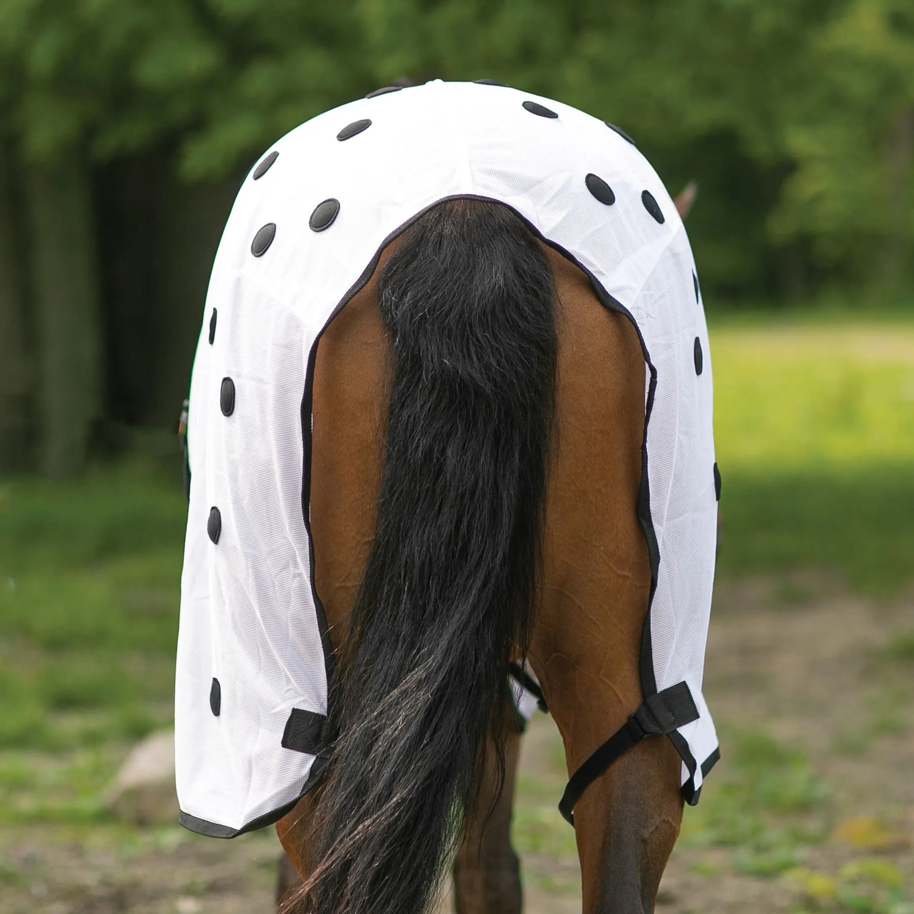 Dura-Tech® Magnetic Sheet 11 Dura-Tech® Magnetic Sheet - Image 11