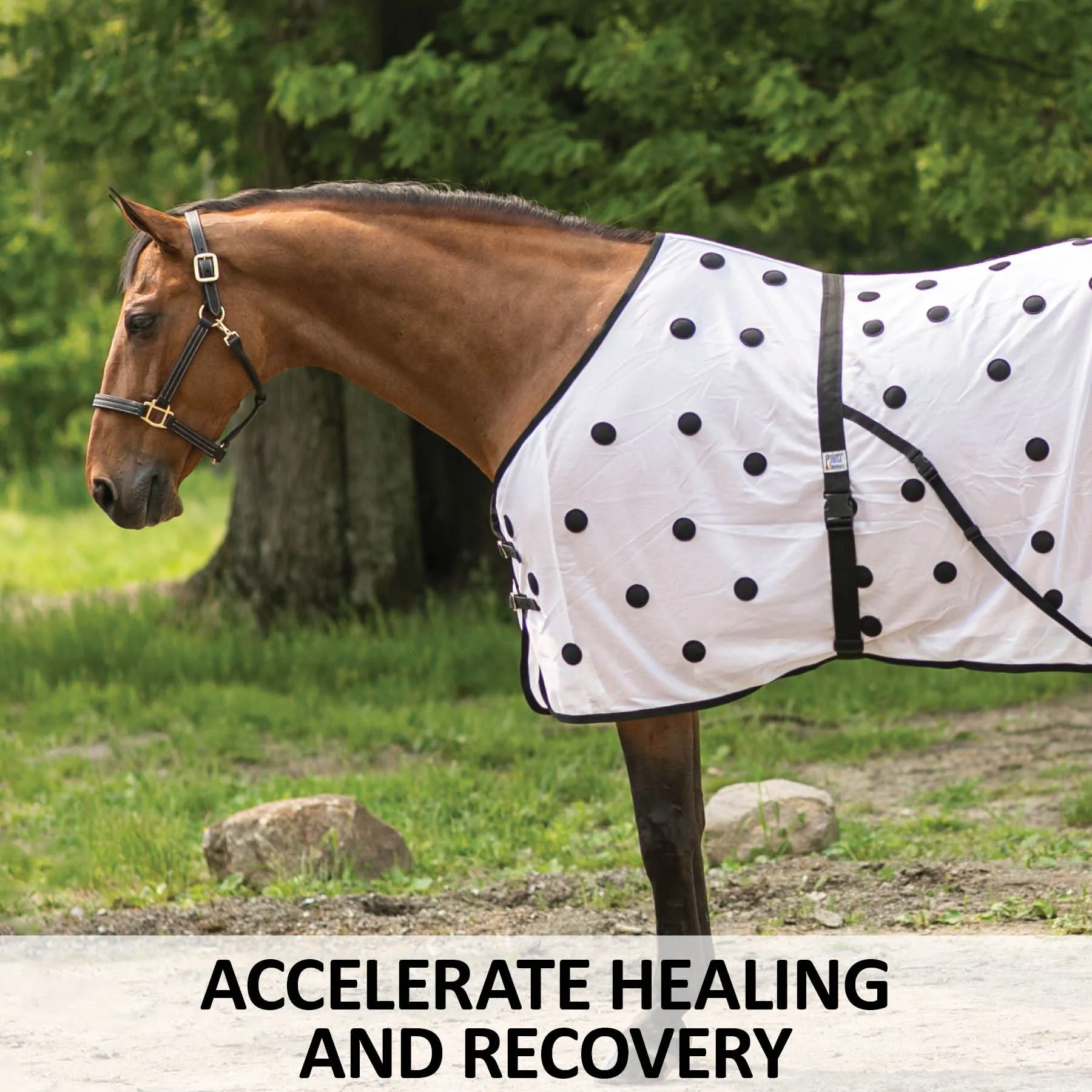 Dura-Tech® Magnetic Sheet 2 Dura-Tech® Magnetic Sheet - Image 2