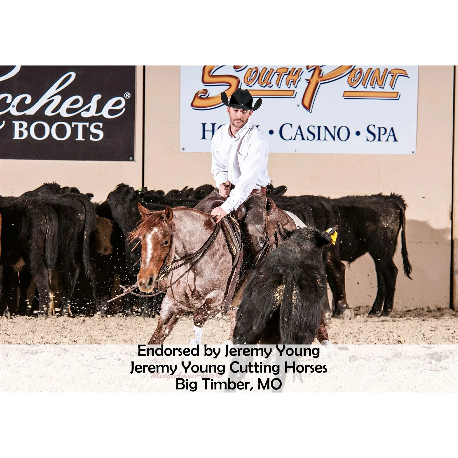 Equine Copper Quick Wraps 10 Equine Copper Quick Wraps - Image 10