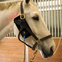 Equine Light Therapy® Itty-Bitty -Sstack Sales Store 41981 alt b