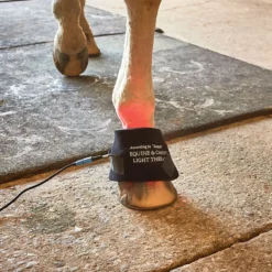 Equine Light Therapy® Itty-Bitty -Sstack Sales Store 41981 alt d