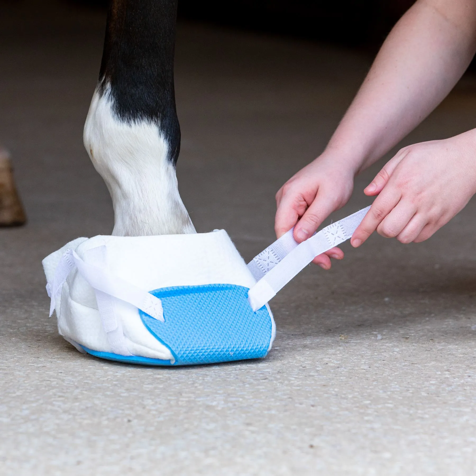 UltraFlex Flex Foam Hoof Wrap - Set Of 4 3 UltraFlex Flex Foam Hoof Wrap - Set Of 4 - Image 3