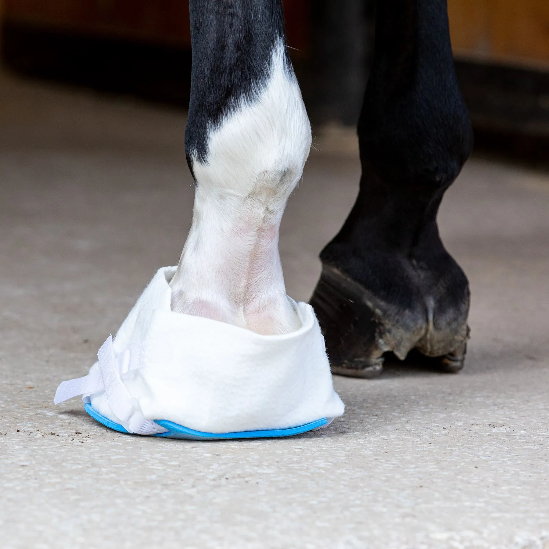 UltraFlex Flex Foam Hoof Wrap - Set Of 4 7 UltraFlex Flex Foam Hoof Wrap - Set Of 4 - Image 7