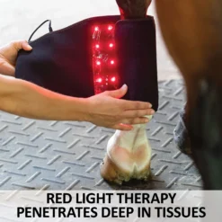 EquiCare LED Therapy® Red Light - Equine Kit And Pairs -Sstack Sales Store 42822c feature b overlay