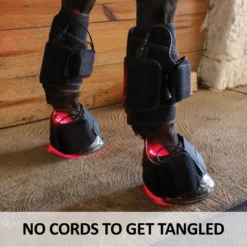 EquiCare LED Therapy® Red Light - Equine Kit And Pairs -Sstack Sales Store 42822c feature d overlay