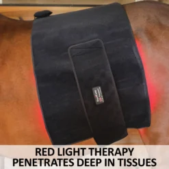 EquiCare LED Therapy® Red Light - Single Wraps 12 EquiCare LED Therapy® Red Light - Single Wraps -Sstack Sales Store 42826c feature b overlay