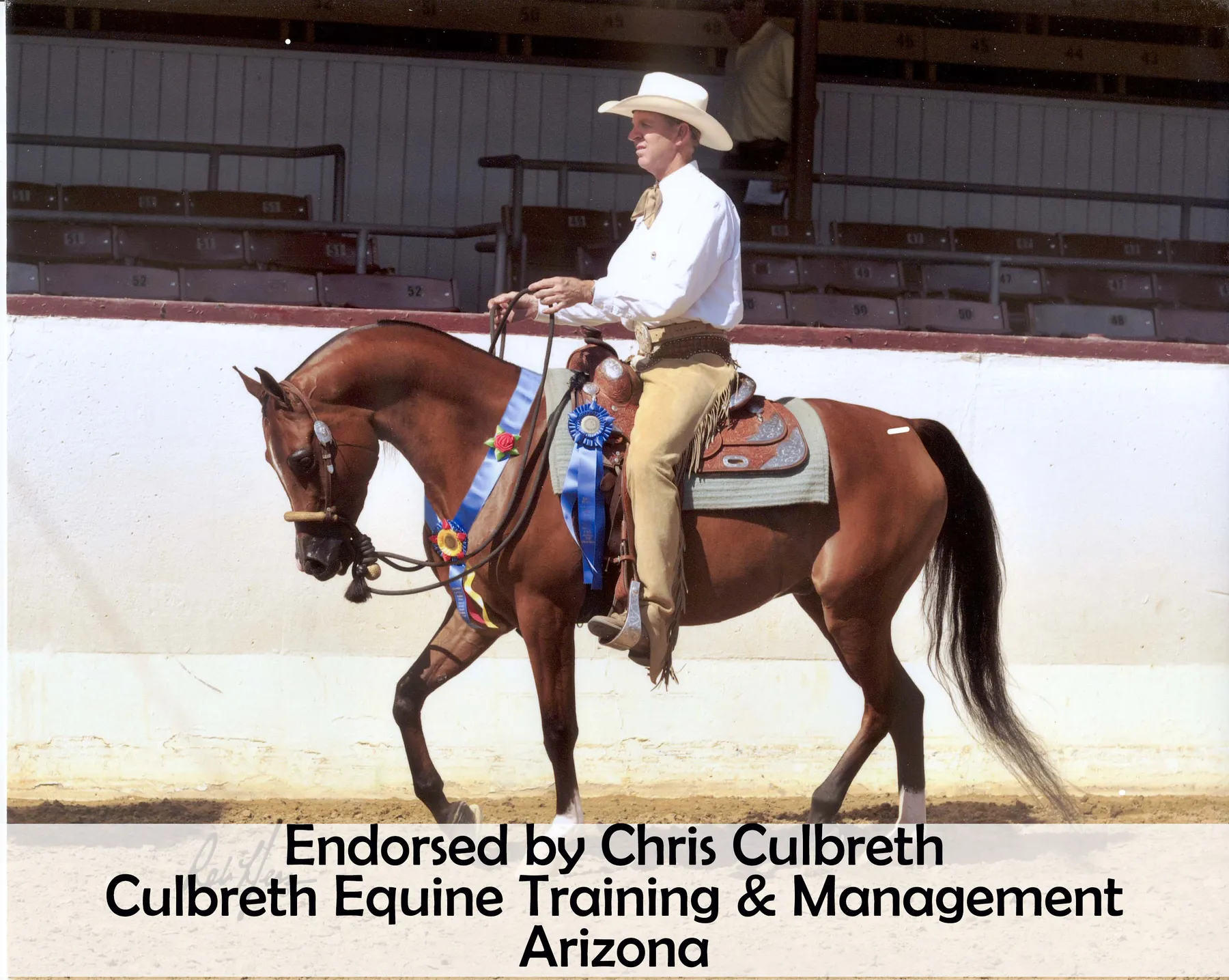 EquiCare LED Therapy® Red Light - Single Wraps 10 EquiCare LED Therapy® Red Light - Single Wraps - Image 10