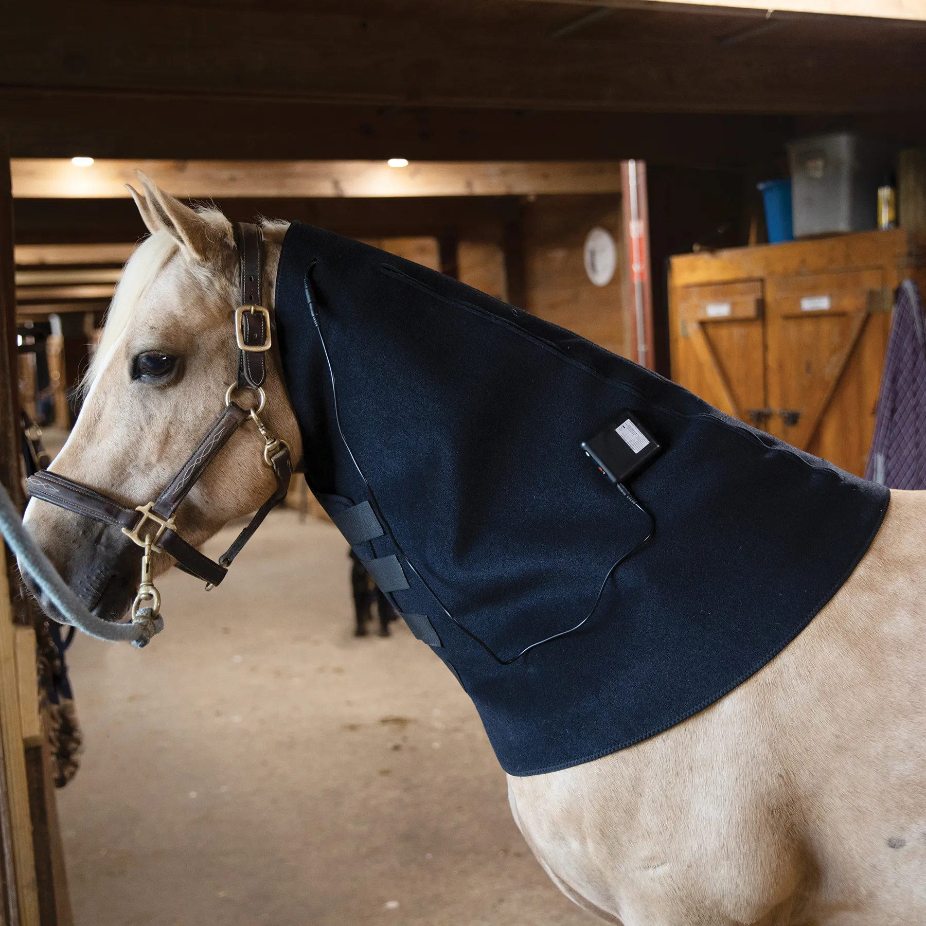 EquiCare LED Therapy® Red Light Neck Wrap For Horses 1 EquiCare LED Therapy® Red Light Neck Wrap For Horses
