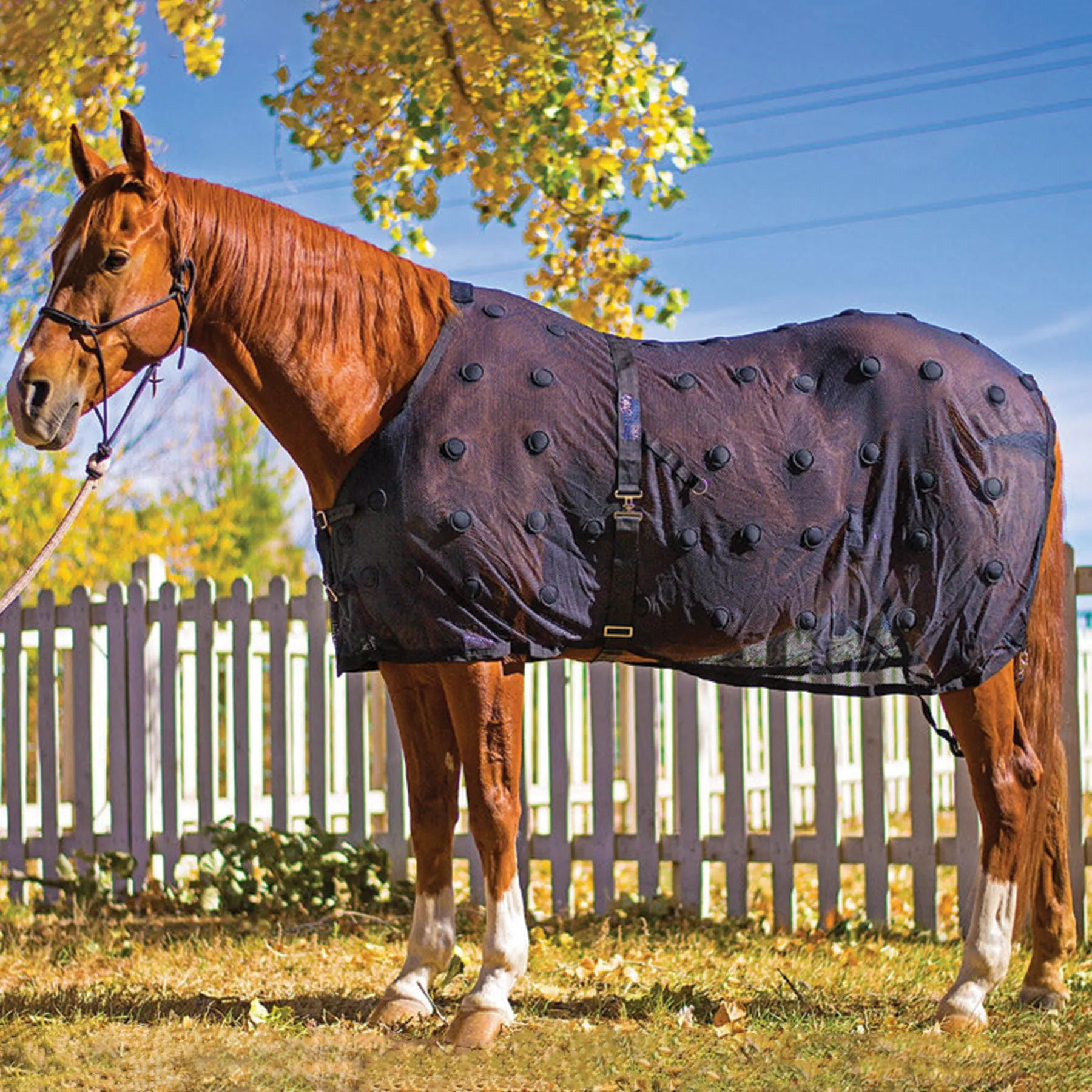 Benefab® Rejuvenate Smartscrim Magnetic Sheet 1 Benefab® Rejuvenate Smartscrim Magnetic Sheet