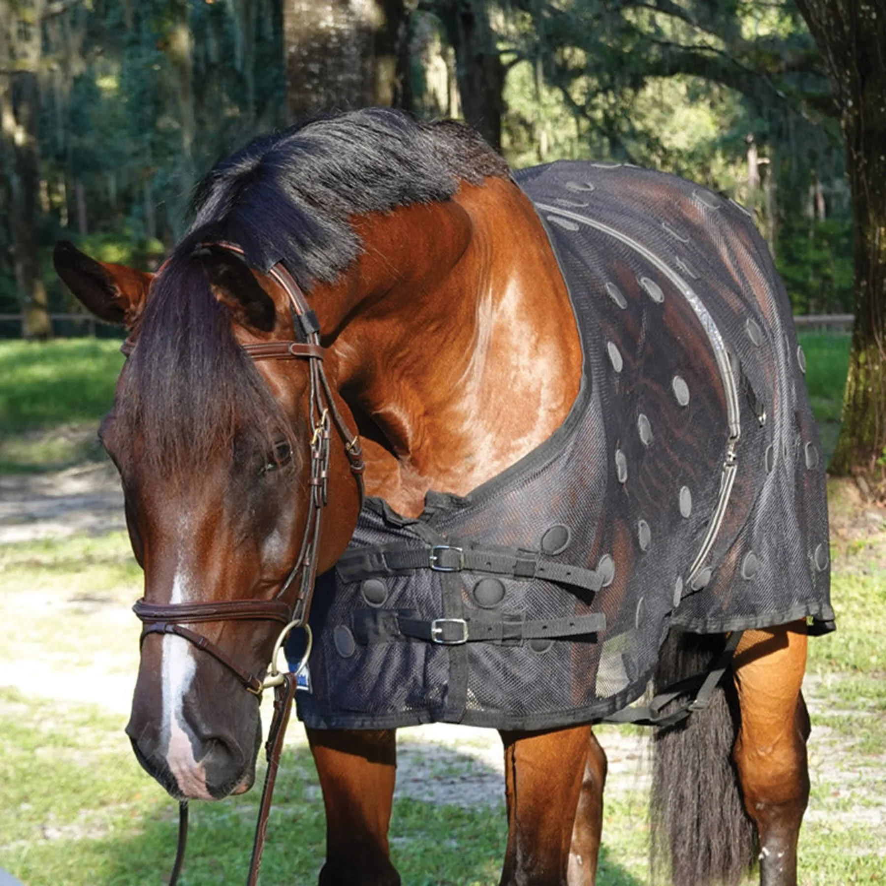 Benefab® Rejuvenate Smartscrim Magnetic Sheet 2 Benefab® Rejuvenate Smartscrim Magnetic Sheet - Image 2