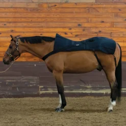 EquiCare LED Therapy® Red Light Back And Hip Pad -Sstack Sales Store 44129 black