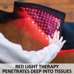 EquiCare LED Therapy® Red Light Back And Hip Pad -Sstack Sales Store 44129 feature b overlay
